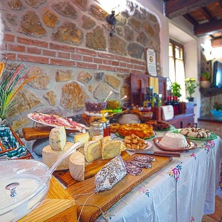 Agriturismo La Valle Degli Ulivi Semproniano Dış mekan fotoğraf