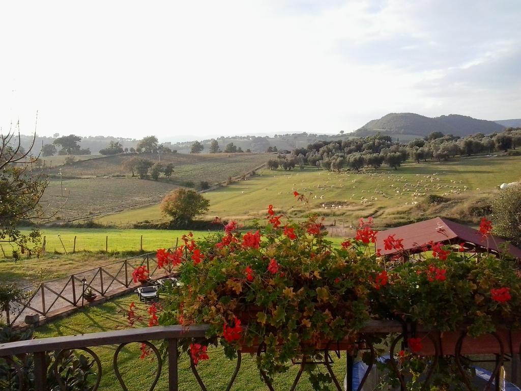 Agriturismo La Valle Degli Ulivi Semproniano Dış mekan fotoğraf