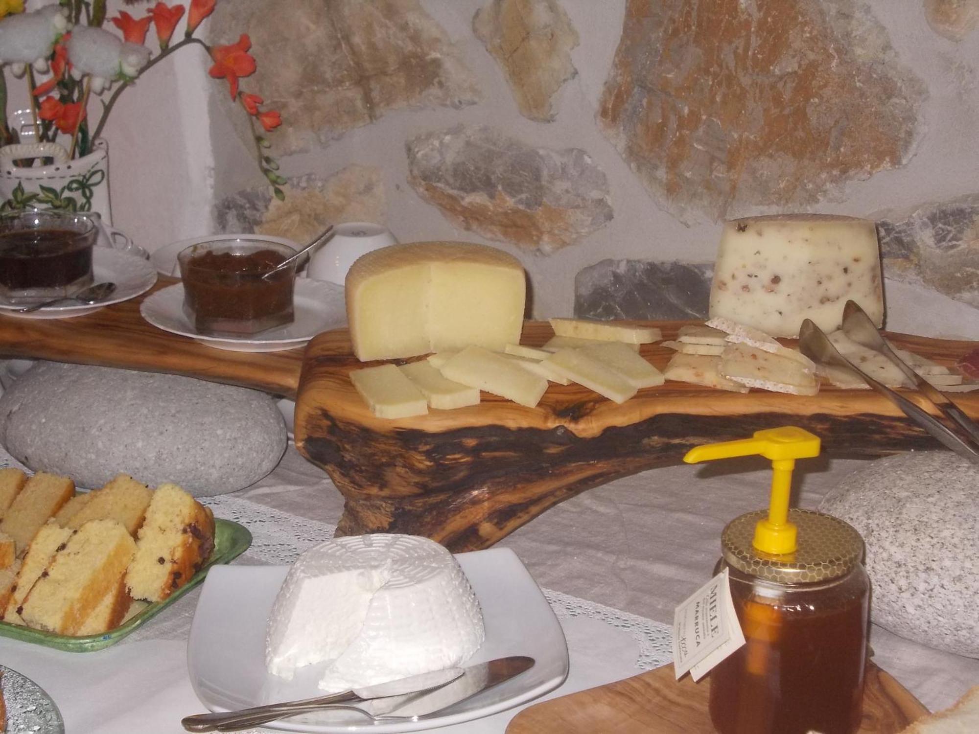 Agriturismo La Valle Degli Ulivi Semproniano Dış mekan fotoğraf