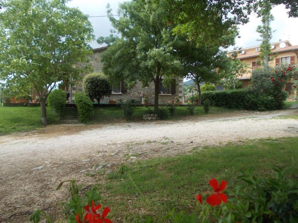 Agriturismo La Valle Degli Ulivi Semproniano Dış mekan fotoğraf