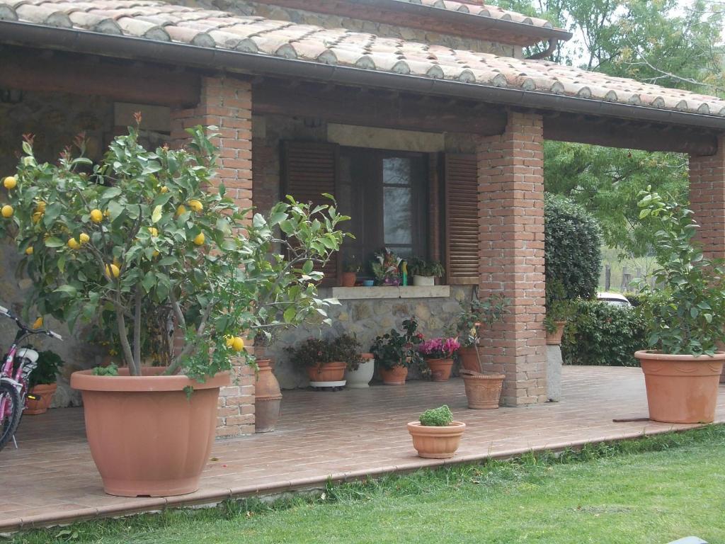 Agriturismo La Valle Degli Ulivi Semproniano Dış mekan fotoğraf