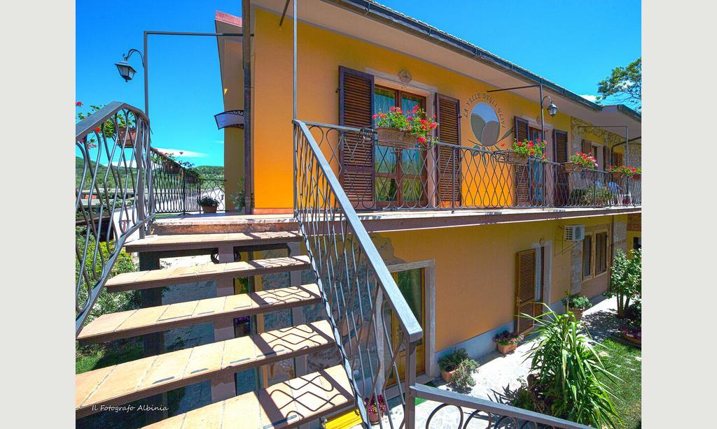 Agriturismo La Valle Degli Ulivi Semproniano Dış mekan fotoğraf