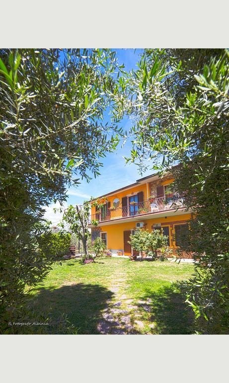 Agriturismo La Valle Degli Ulivi Semproniano Dış mekan fotoğraf