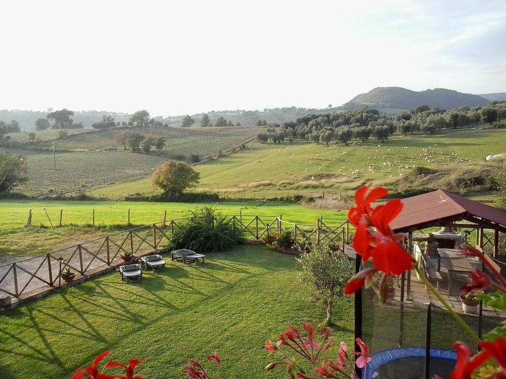 Agriturismo La Valle Degli Ulivi Semproniano Dış mekan fotoğraf