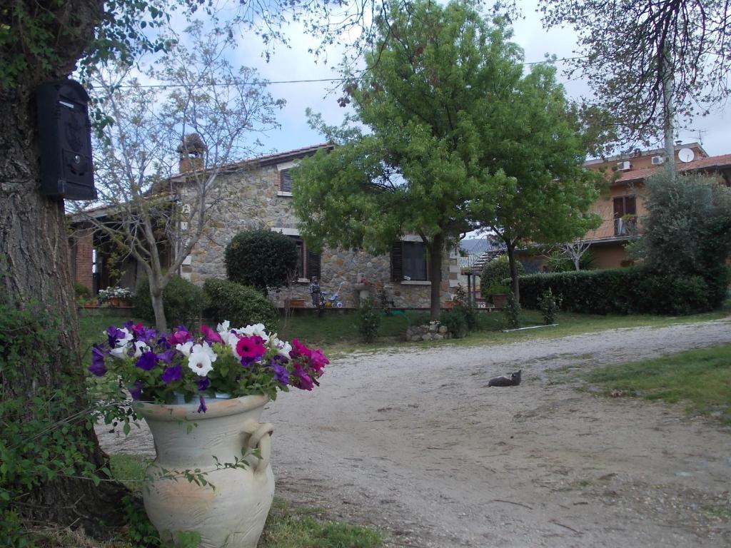 Agriturismo La Valle Degli Ulivi Semproniano Dış mekan fotoğraf